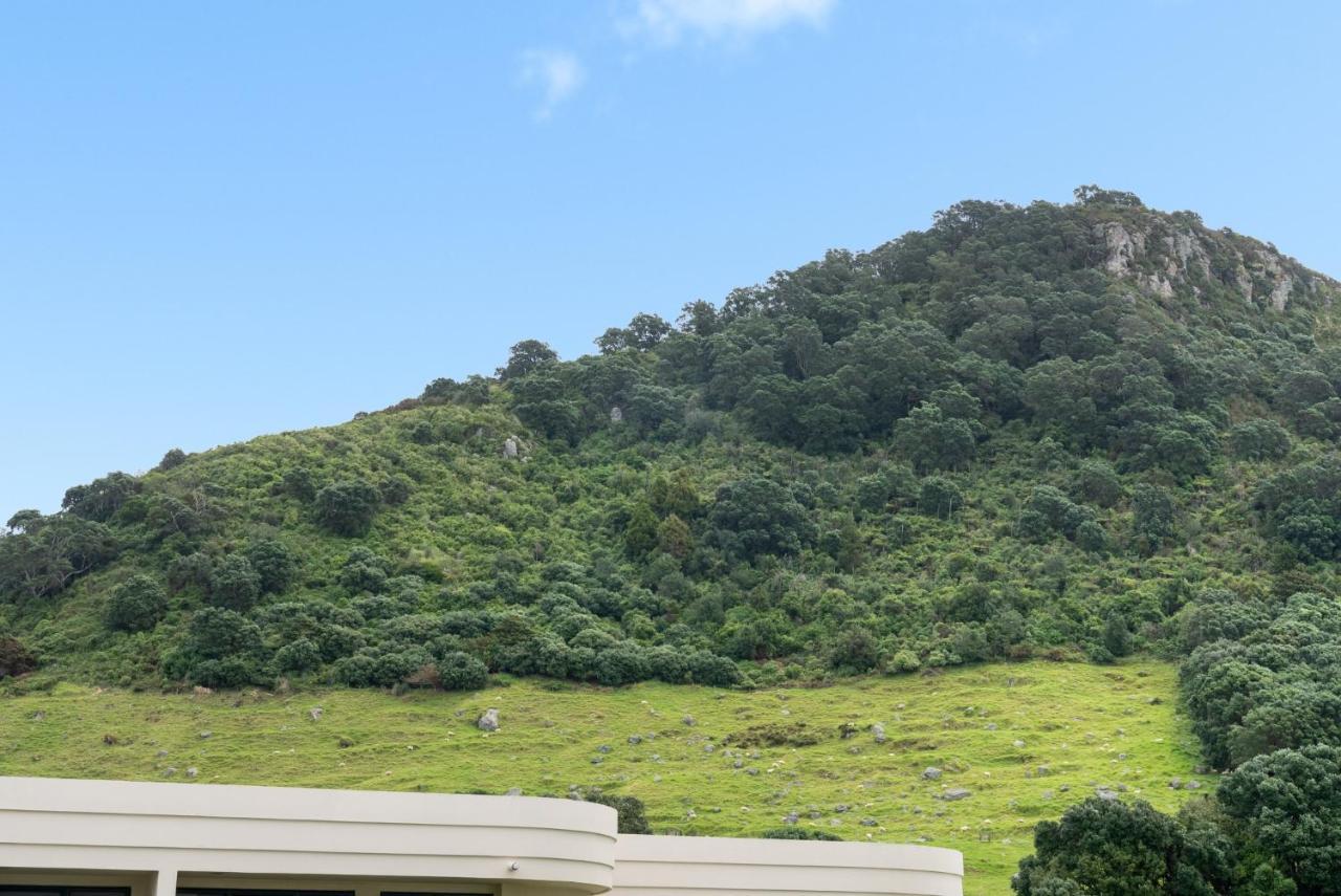 Oceanside Apartment With Garden Views マウント・マウンガヌイ エクステリア 写真